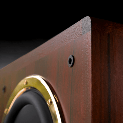 Dynaudio_Consequence-Ultimate-Edition_detail3